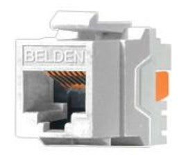 Conector Jack RJ45 CAT6 BELDEN AX101320 - Blanco, Conexión Profesional