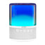 Bocina Bluetooth Glee Pure AP50 Elite - 20W RMS, Bluetooth 5.2