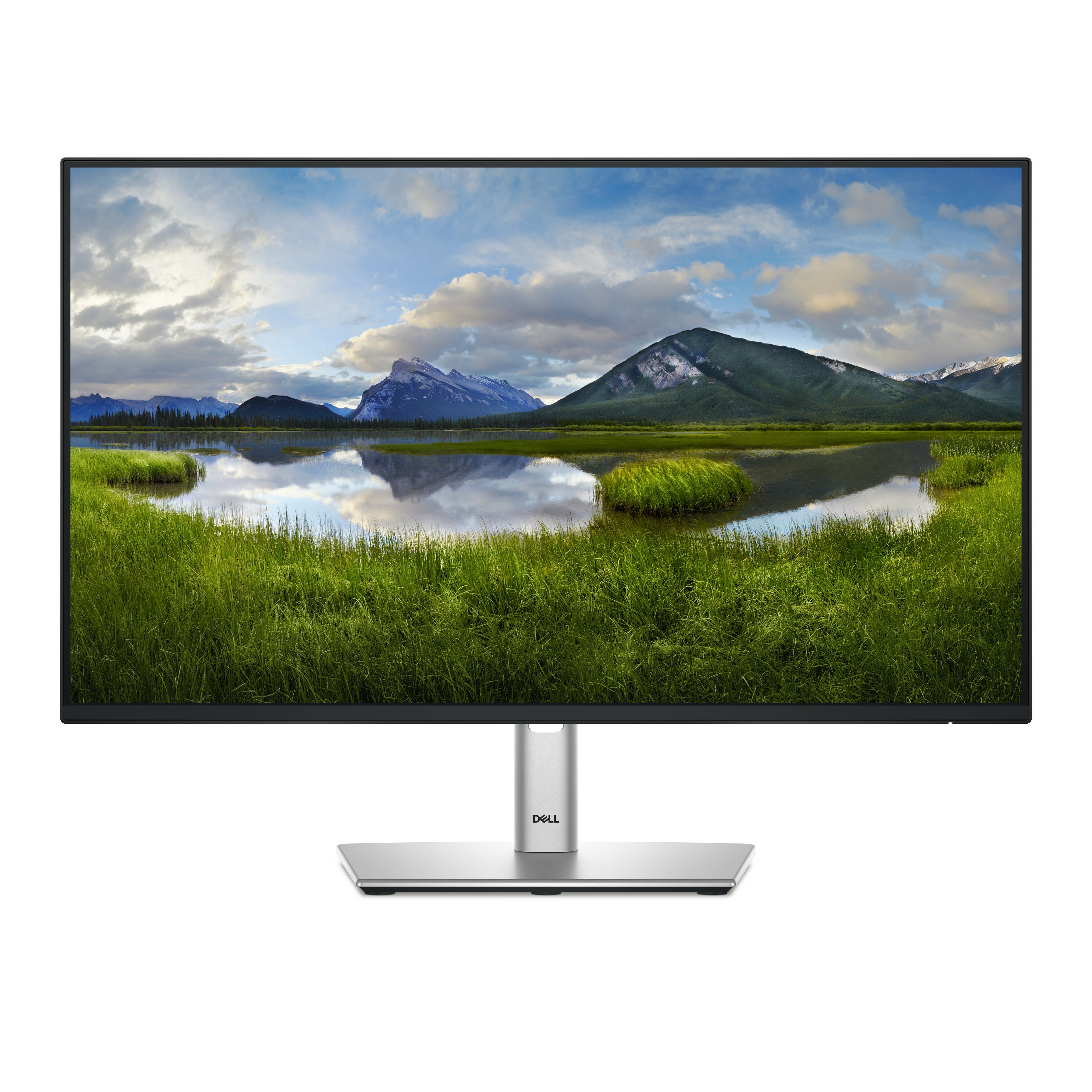 Monitor Dell P2425H 24 Pulgadas Full HD - 250cd/m², 8ms, Diseño Profesional