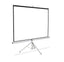 Pantalla de Proyección Qian QPD-69603 120 Pulgadas - Trípode, Formato 1.1, Blanco Mate