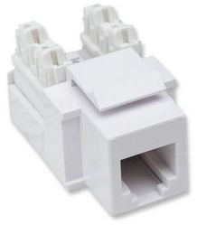 Jack Keystone RJ11 RJ12 Intellinet 210843 - Impacto Blanco