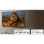 Televisor LG 55UA751C 55 Pulgadas UHD 4K Smart TV - WebOS, HDR 10 Pro, Google Cast