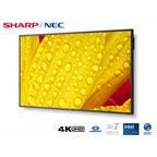 Monitor NEC M431-2 43 Pulgadas 4K UHD - Profesional 24/7, 500 cd/m², DisplayPort HDMI