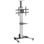 Soporte móvil StarTech para TV 32-75 pulgadas - Carrito ajustable con ruedas