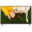 Televisor LG 65" Smart TV UHD 4K - WebOS 23, HDR 10 Pro, Google Cast