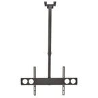 Soporte TV Manhattan 423625 para Techo - 50kg, 37 a 70 Pulgadas
